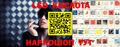 гидропоника Можайск